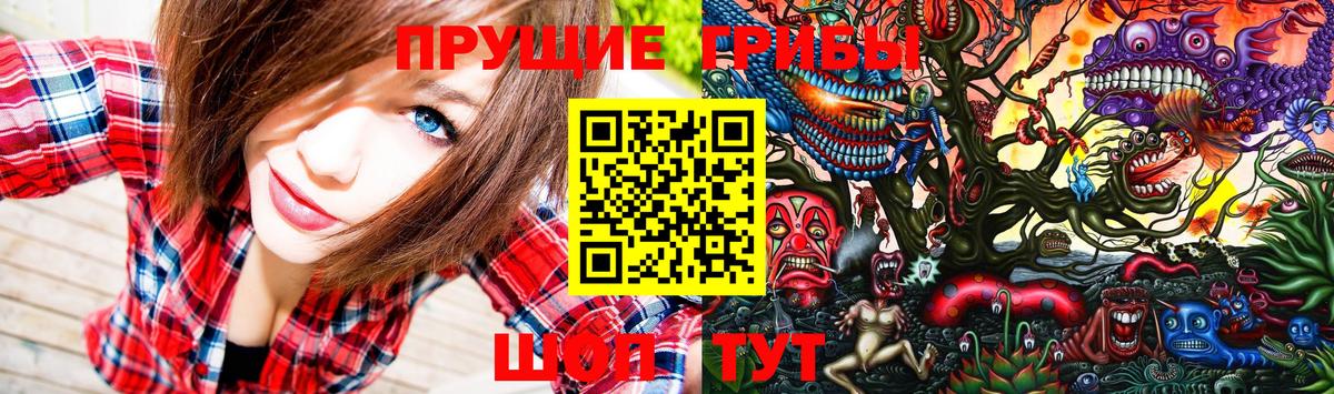 Галлюциногенные грибы Cubensis Ставрополь