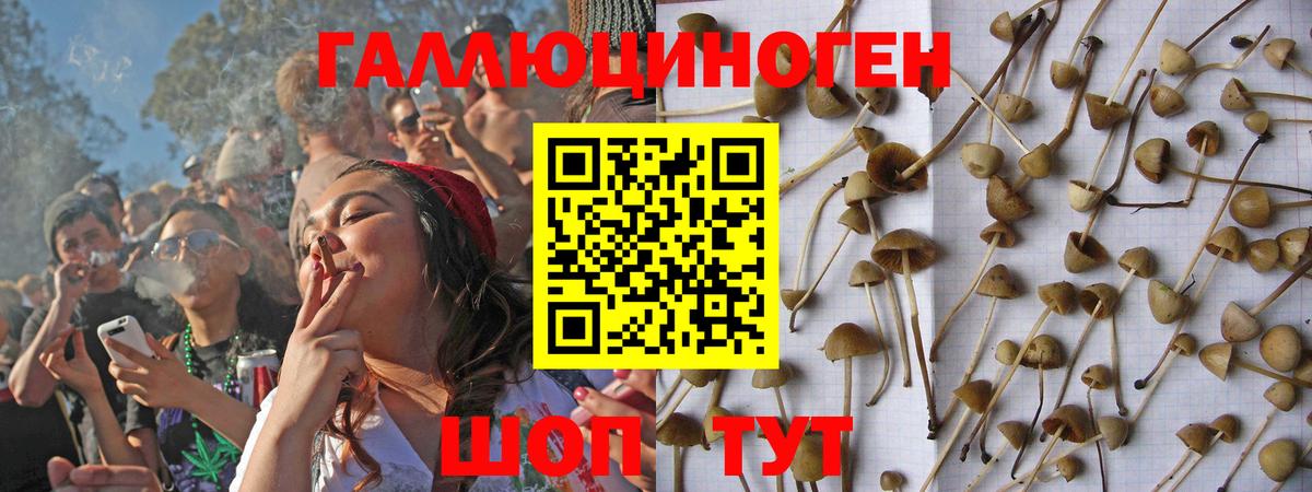 Галлюциногенные грибы Cubensis Ставрополь