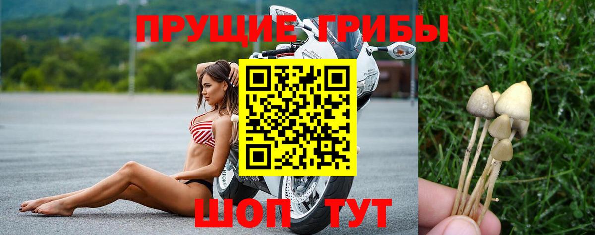 Ставрополь  Псилоцибиновые грибы мухоморы  Вход с VPN 