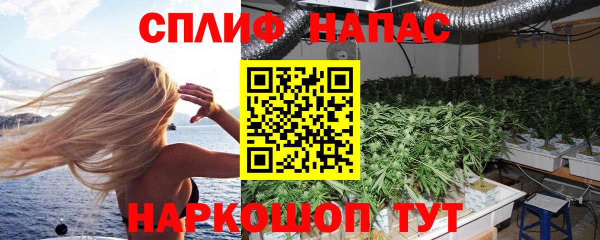 Марихуана планчик  Бошки марихуана ГИДРОПОН  Ставрополь  МАРИХУАНА LSD WEED  Каннабис Ganja 